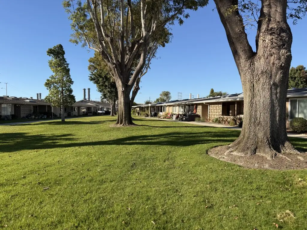 Leisure World Seal Beach community landscape with green lawns, mature trees, and residential units, emphasizing outdoor spaces for active senior living and social interactions.