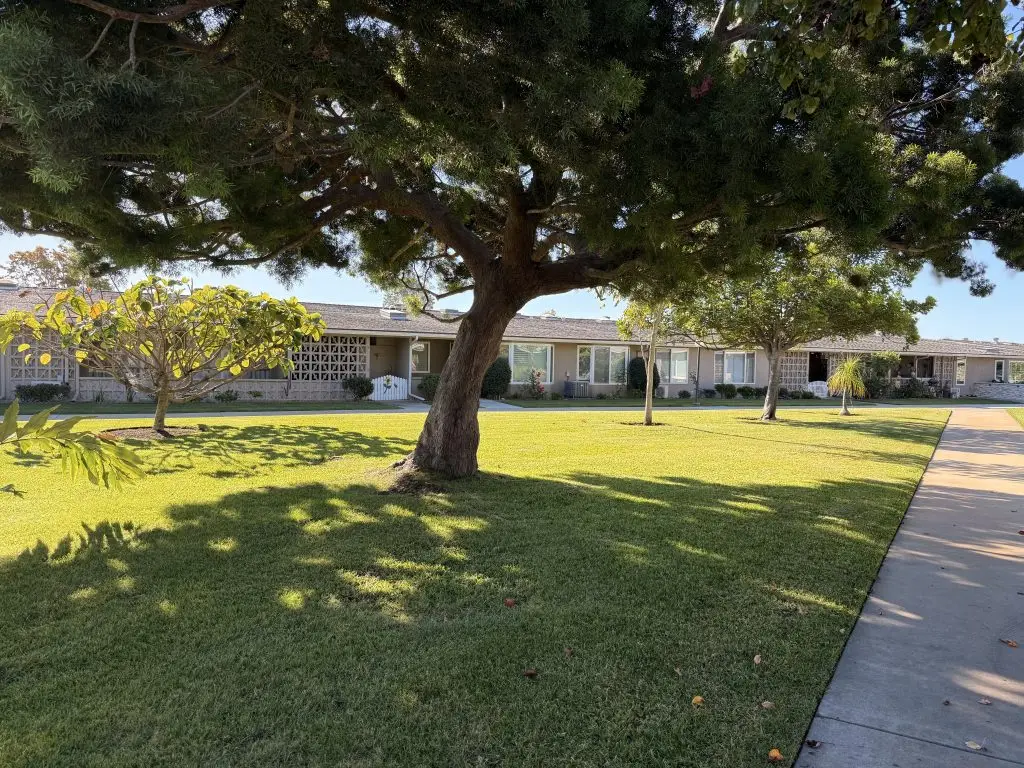 Lush green lawn and mature trees in front of residential units at Leisure World Seal Beach, showcasing a serene environment ideal for active seniors seeking community amenities.