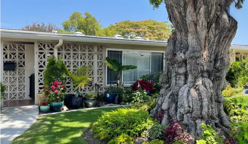 Leisure World Seal Beach home exterior with lush landscaping, decorative plants, and a large tree, showcasing the vibrant community environment for potential buyers.