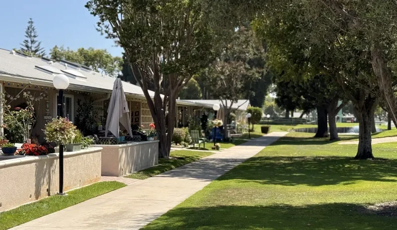 Pathway through a landscaped area of Leisure World Seal Beach, featuring residential homes, decorative plants, and shaded trees, emphasizing the community's inviting atmosphere for 55+ residents.