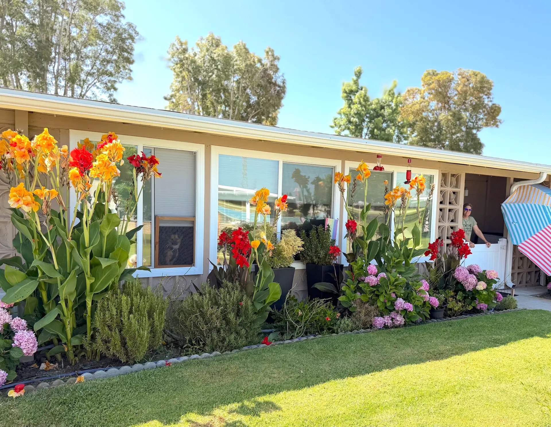 Colorful garden with vibrant flowers, including red and yellow blooms, surrounding a Leisure World home, showcasing the community's beautiful outdoor living spaces and inviting atmosphere.