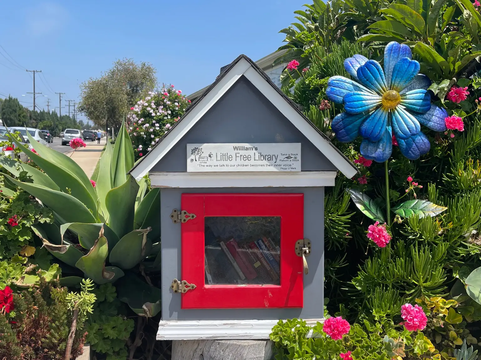 The leisure Life Blog Little Library Shot