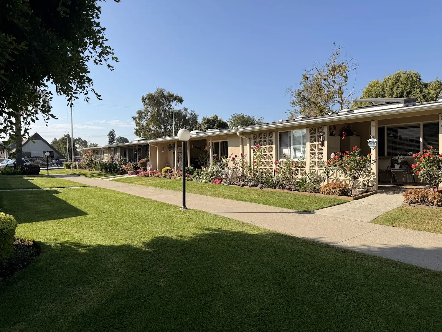 Leisure World Seal Beach community pathway lined with flowering shrubs and well-maintained homes, showcasing vibrant landscaping and a welcoming atmosphere for active adults.