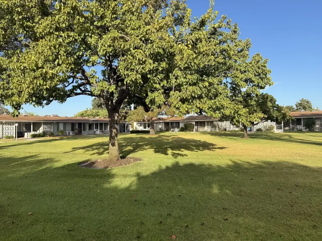 Tree shading manicured lawn with Leisure World Seal Beach residences in the background, emphasizing community living and outdoor space.