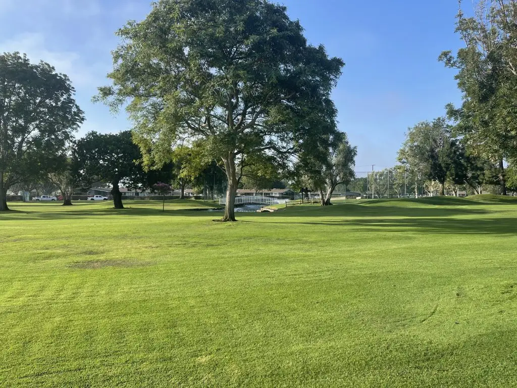 Lush green landscape in Leisure World Seal Beach, featuring trees and well-maintained grass, emphasizing the community's maintenance-free living and outdoor leisure opportunities.