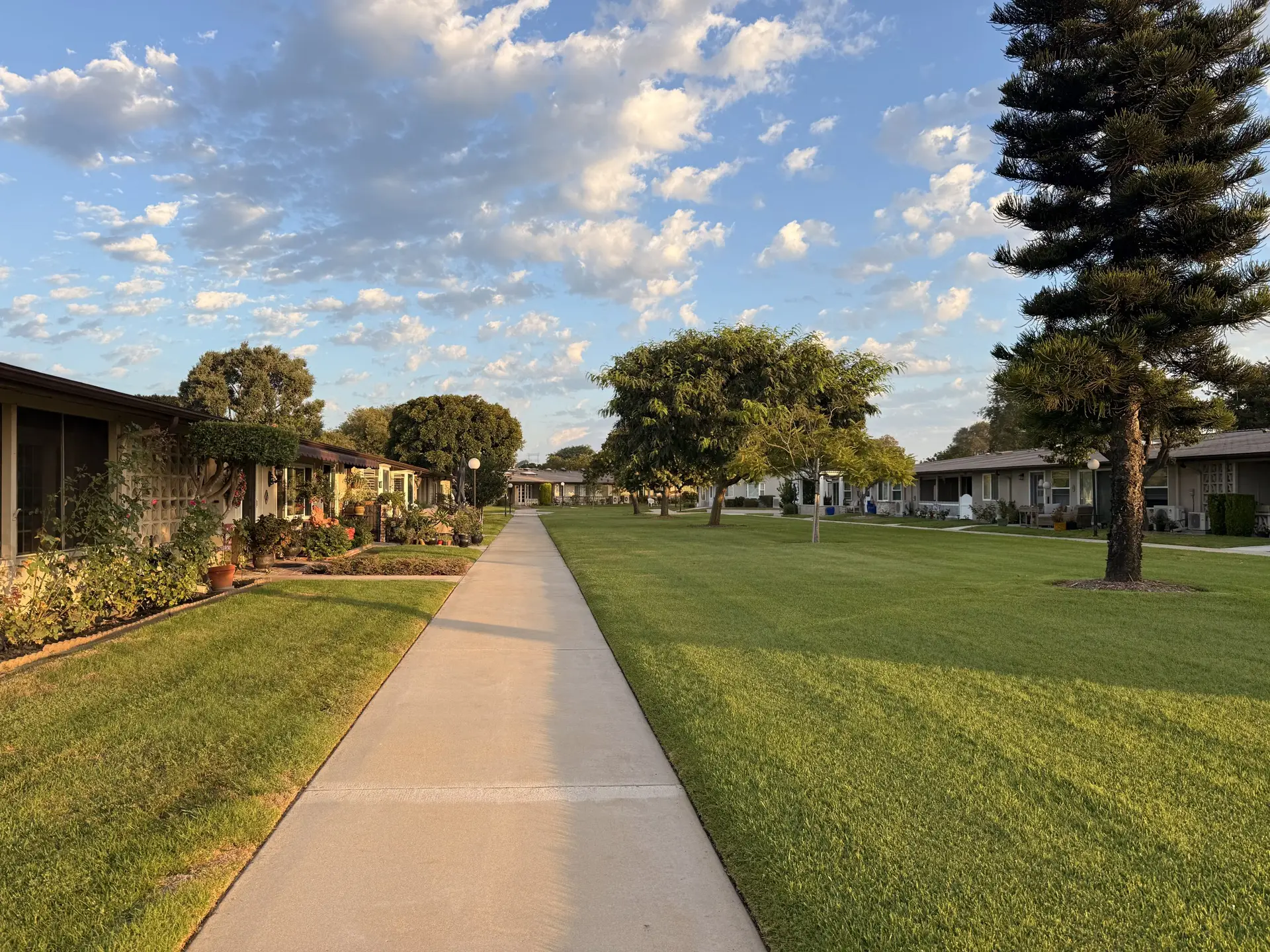 Pathway through Leisure World Seal Beach, lined with homes and greenery, showcasing a serene community atmosphere in a 55+ residential area.