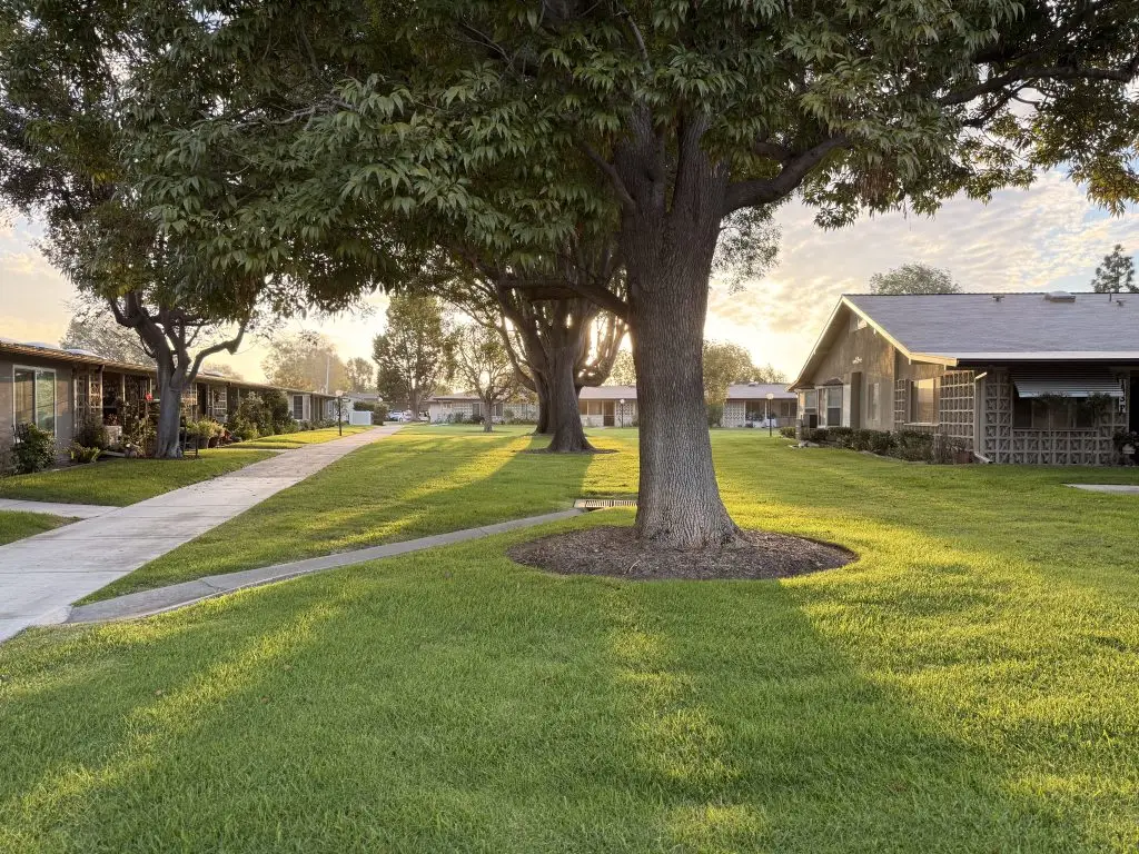 Lush green lawns and tree-lined pathways in Leisure World Seal Beach, showcasing the community's serene environment for active 55+ residents.