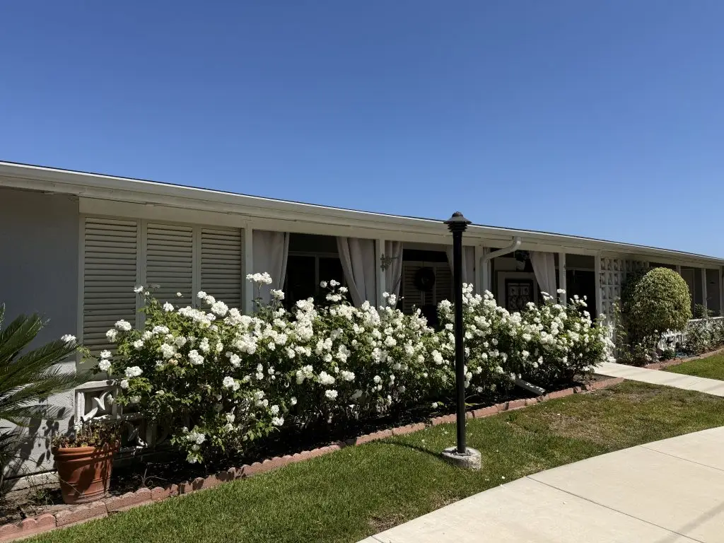 Residential building with white flower bushes, manicured lawn, and clear blue sky, representing Leisure World Seal Beach's community aesthetics for active adults.