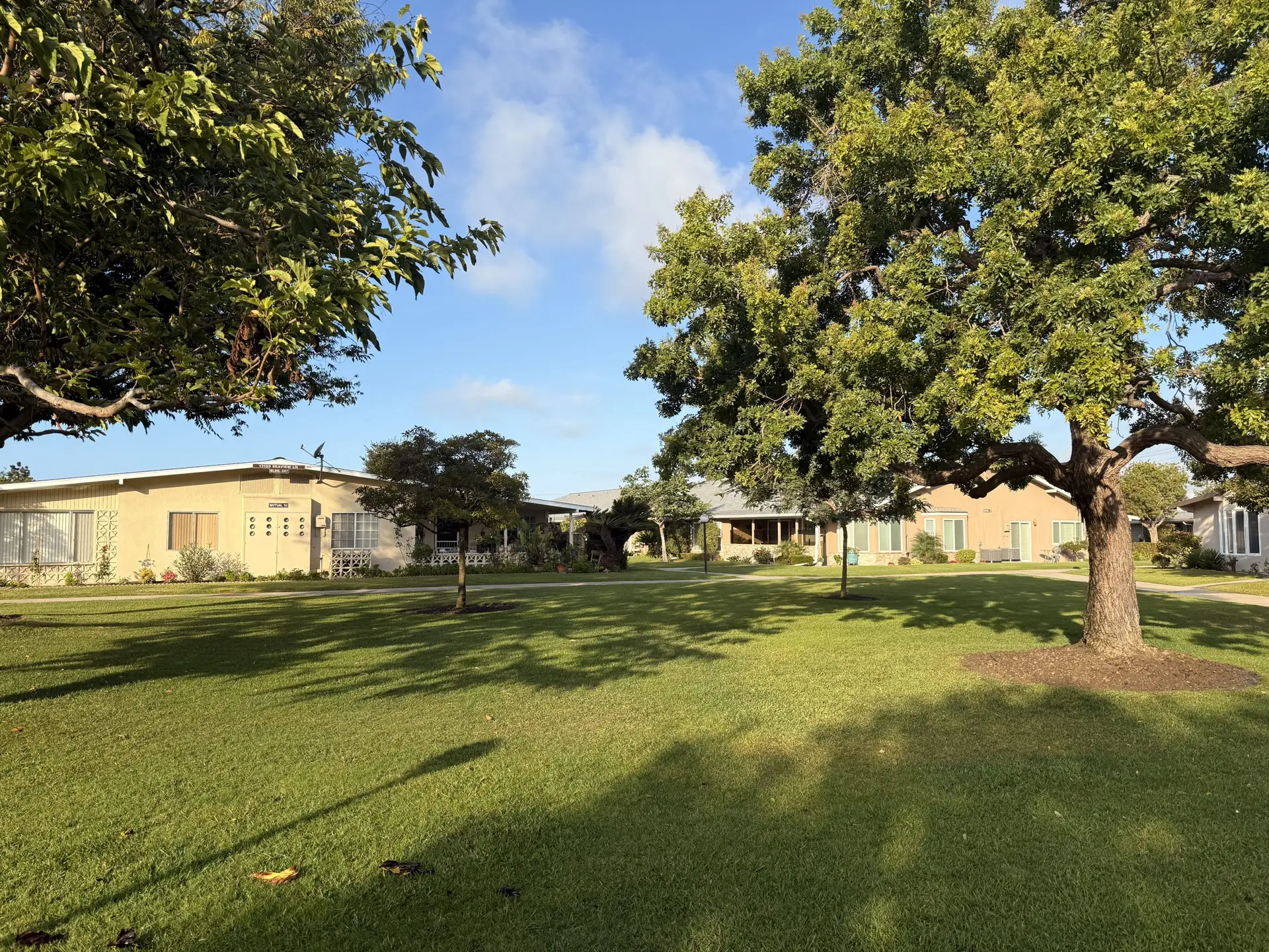 Lush green lawn with mature trees and Leisure World Seal Beach residences in the background, showcasing the community's tranquil outdoor environment for active 55+ living.