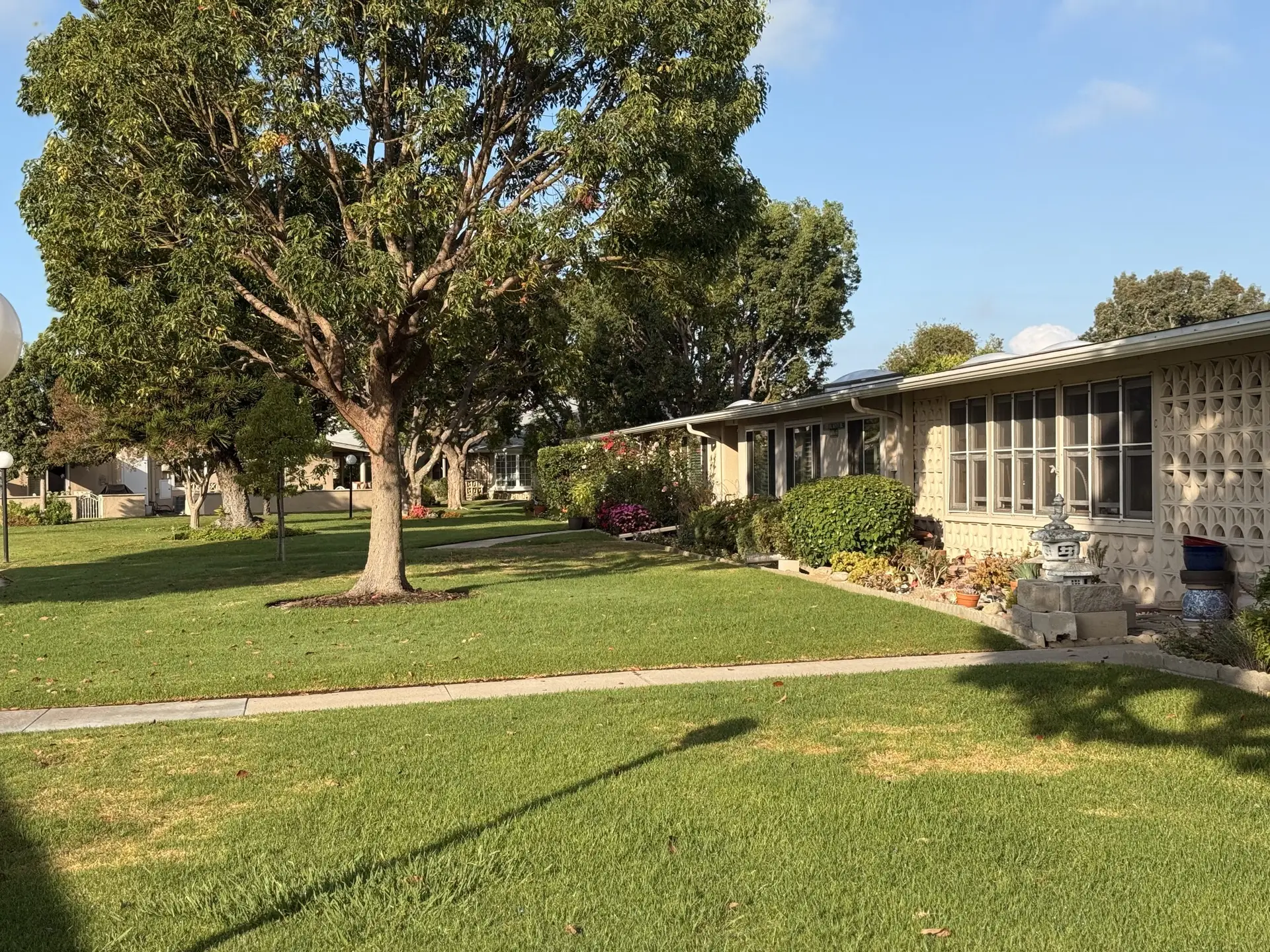 Leisure World Seal Beach community landscape featuring well-maintained homes, lush green lawns, and mature trees, emphasizing the vibrant, active lifestyle for 55+ residents.