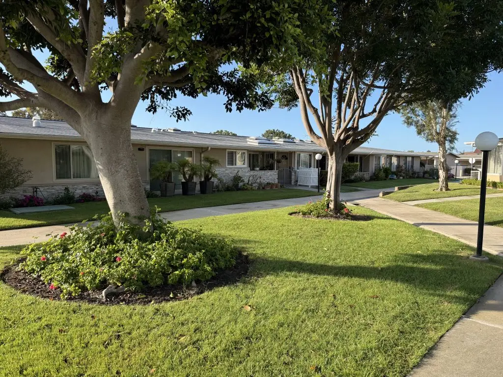 Residential pathway in Leisure World Seal Beach, featuring well-maintained landscaping, mature trees, and homes designed for a senior community lifestyle.