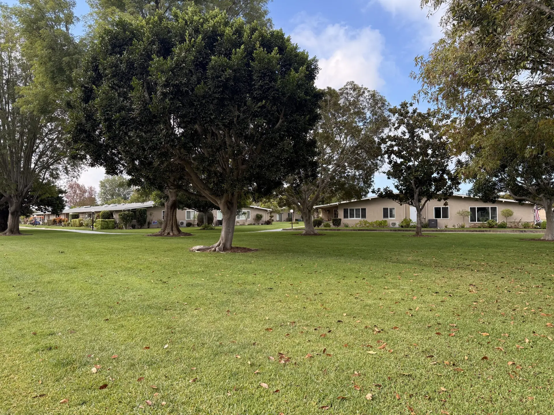 Lush green lawn with mature trees and residential homes in Leisure World Seal Beach, reflecting the community's 55+ lifestyle and real estate environment.