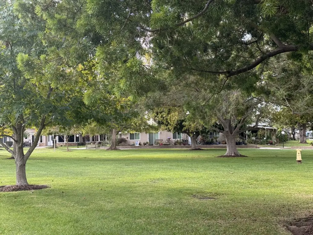 Lush green lawn surrounded by mature trees and single-level homes in a vibrant 55+ community, emphasizing maintenance-free living and outdoor social opportunities.