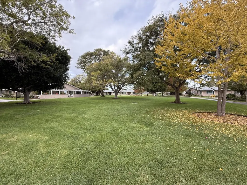 Lush green lawn with trees showcasing autumn foliage, surrounded by residential homes in Leisure World community, emphasizing walkable spaces for social events and gatherings.