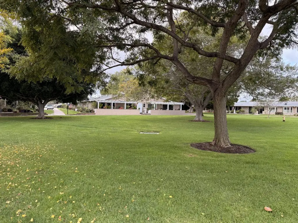 Lush green lawn with large trees and pathways, showcasing the serene outdoor setting of the Leisure World Seal Beach community, ideal for social events and activities.