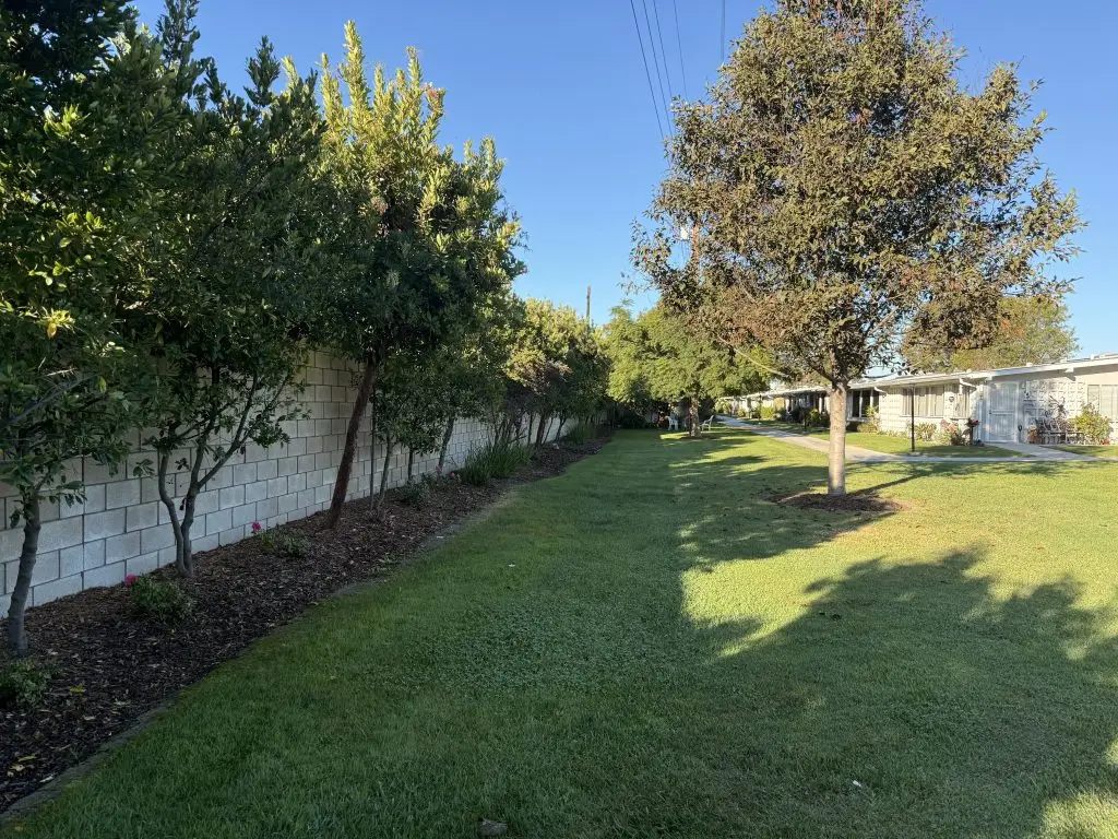 Landscaped pathway in Leisure World community, featuring trees and manicured grass, showcasing exterior maintenance and serene environment.