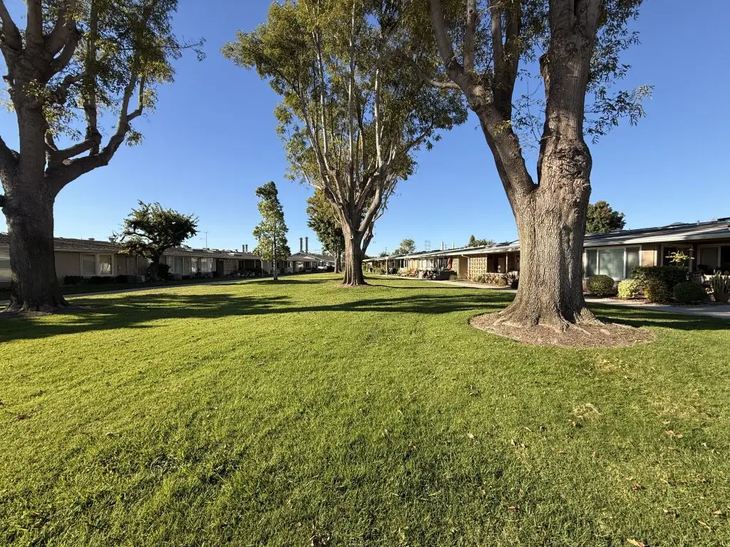 Lush green lawn with tall trees and well-maintained homes in a maintenance-free community, reflecting the low-maintenance lifestyle and social engagement opportunities at Leisure World Seal Beach.