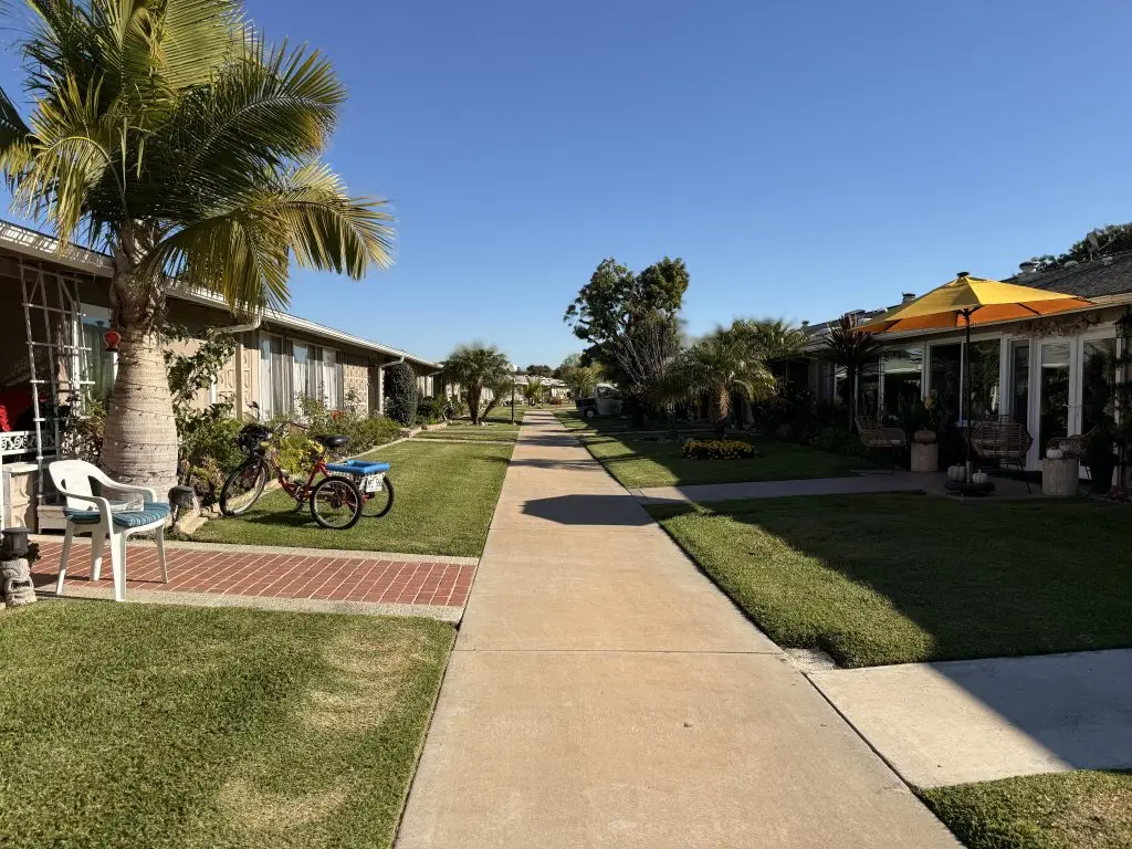 Pathway lined with palm trees and residences in Leisure World Seal Beach, showcasing a vibrant 55+ community with outdoor seating, bicycles, and landscaped gardens, reflecting active aging and social engagement opportunities.
