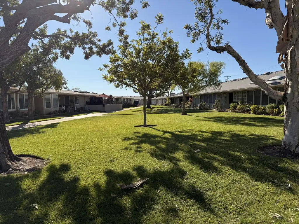 Leisure World community landscape with well-maintained grass, trees, and residential units, illustrating a serene environment for 55+ retirees in Seal Beach.