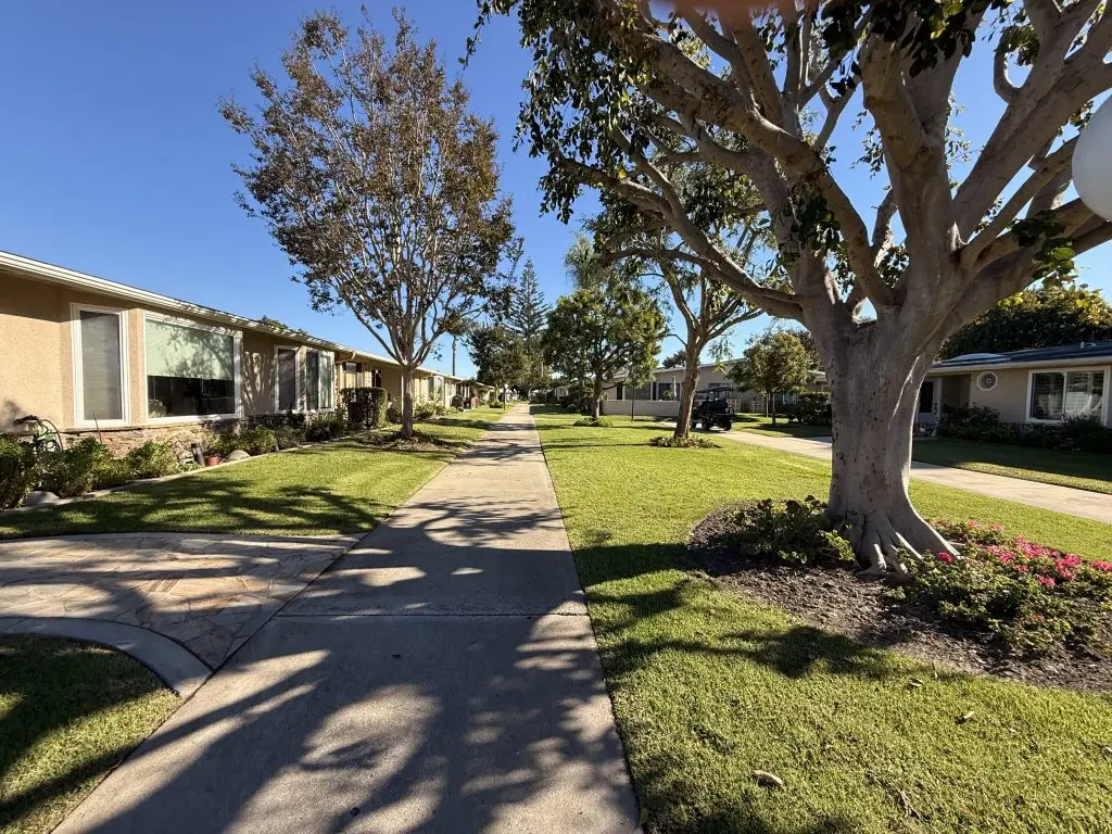 Tree-lined walkway in Leisure World community, showcasing well-maintained homes and manicured lawns, emphasizing a serene living environment for retirees.