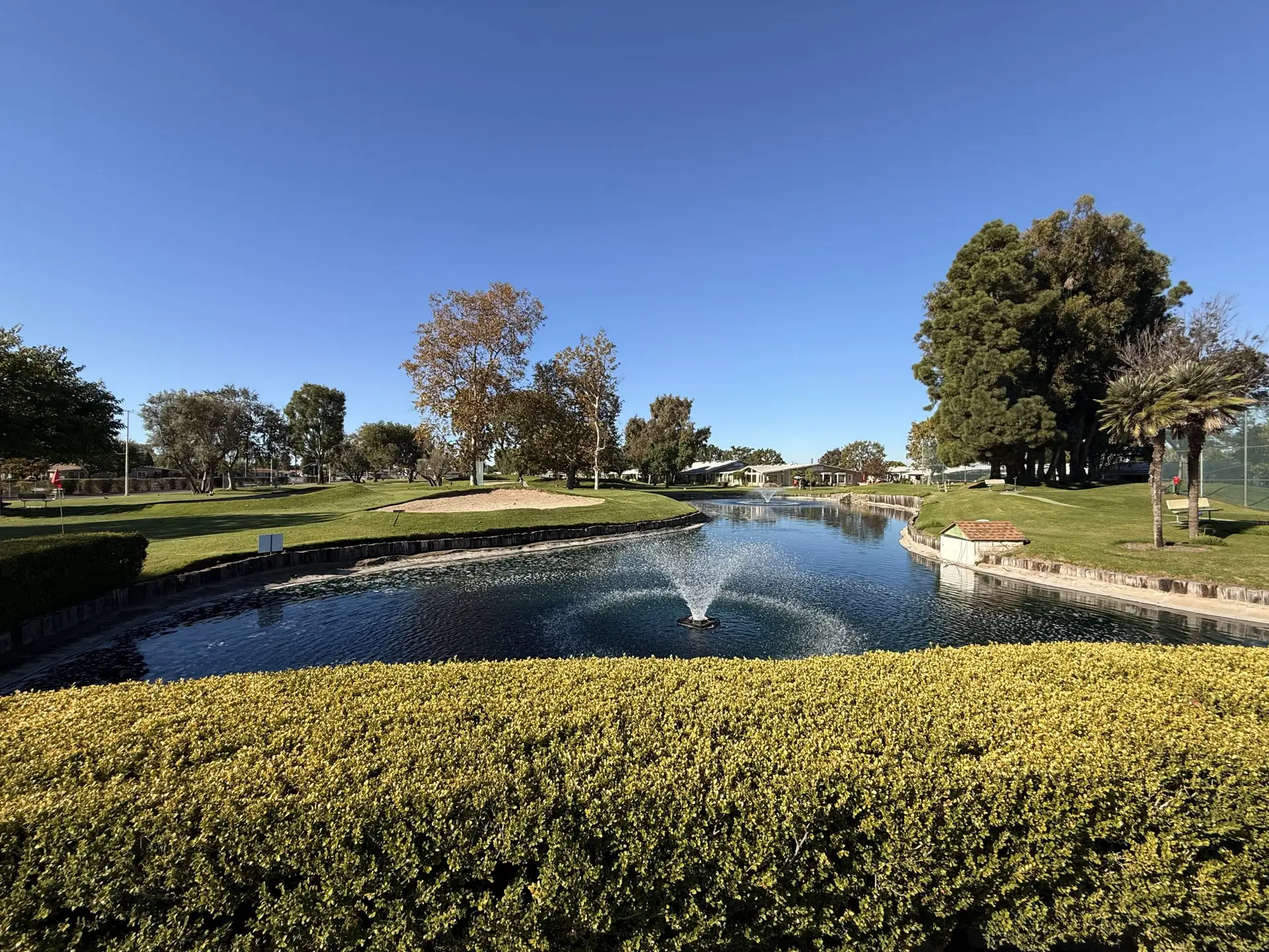 Scenic view of a tranquil pond with a fountain, surrounded by lush greenery and trees in Leisure World Seal Beach, highlighting the community's serene environment and outdoor spaces.