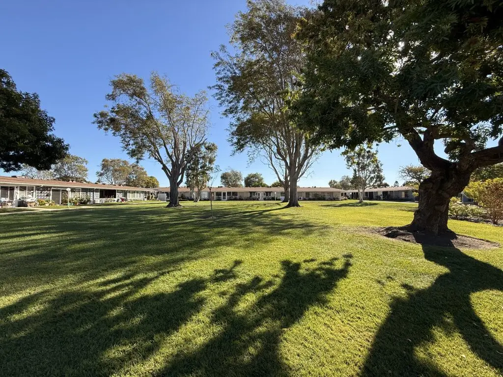 Lush green lawn with trees and residential buildings in Leisure World Seal Beach, illustrating the community's tranquil environment and outdoor spaces.