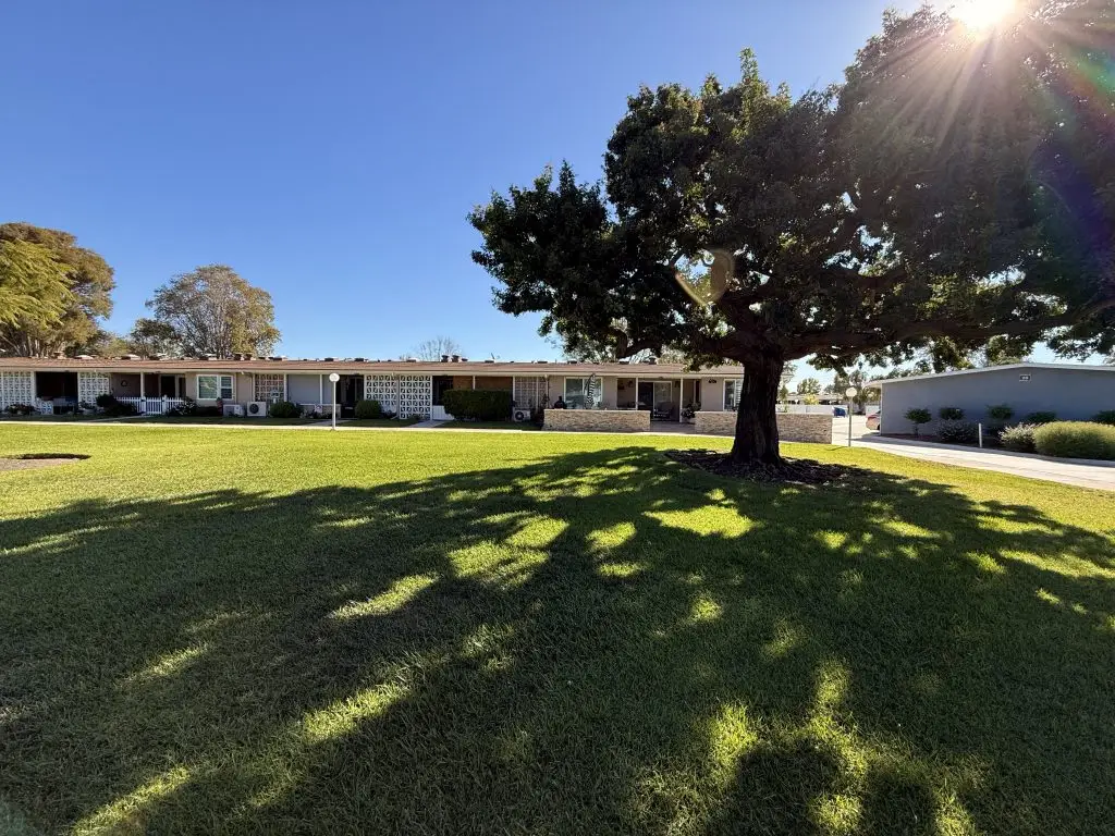 Leisure World Seal Beach community featuring low-maintenance homes, expansive green lawn, and a large tree, emphasizing active adult living and desirable amenities.