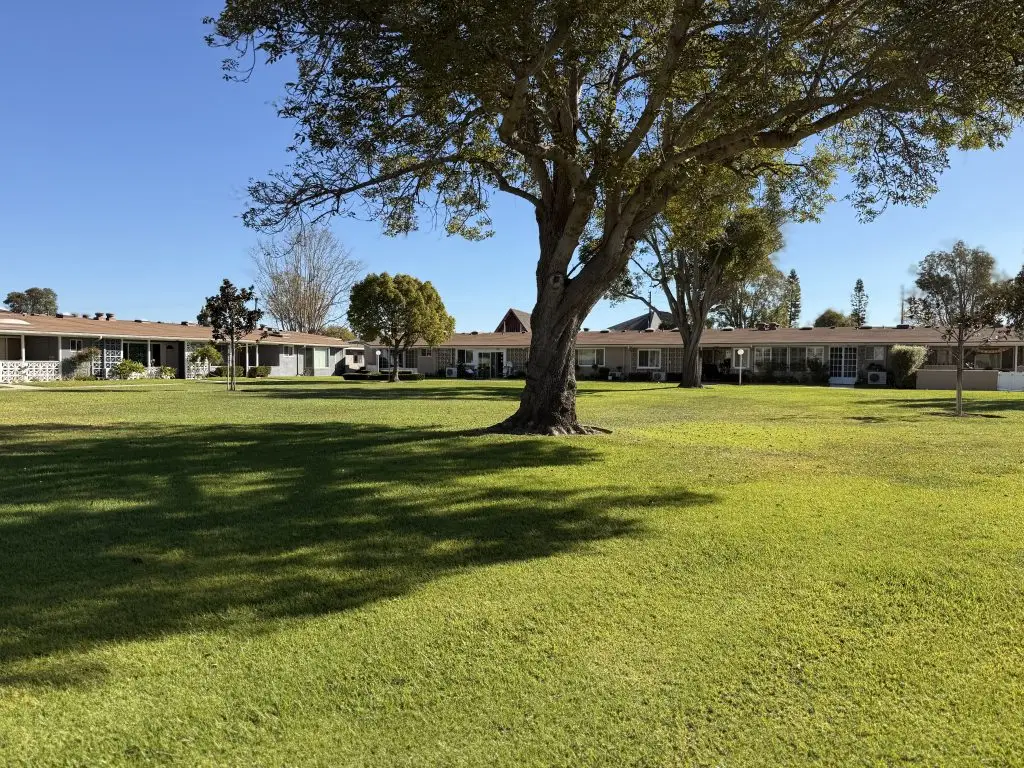 Leisure World Seal Beach community landscape featuring well-maintained grass, mature trees, and cooperative housing units, illustrating the appeal of maintenance-free living and HOA services in a 55+ community.