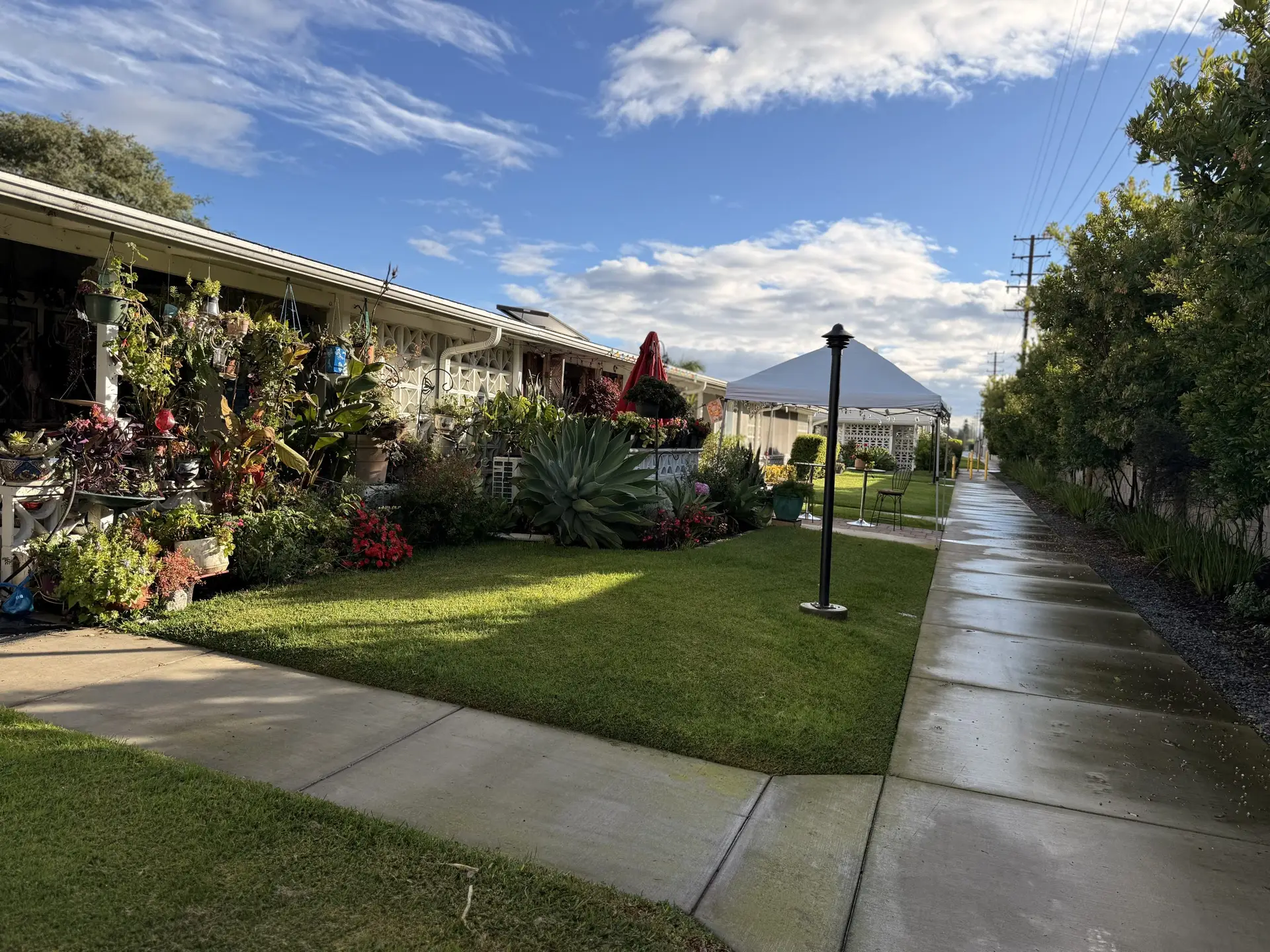 Lush garden with colorful flowers, well-maintained lawn, and a sidewalk leading to a covered seating area in Leisure World Seal Beach, CA, showcasing active adult living amenities.