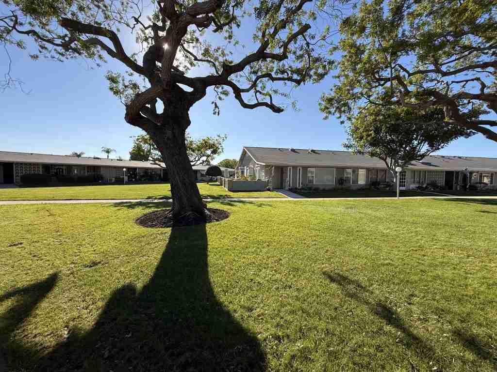Mature tree and well-maintained lawn in Leisure World Seal Beach community.