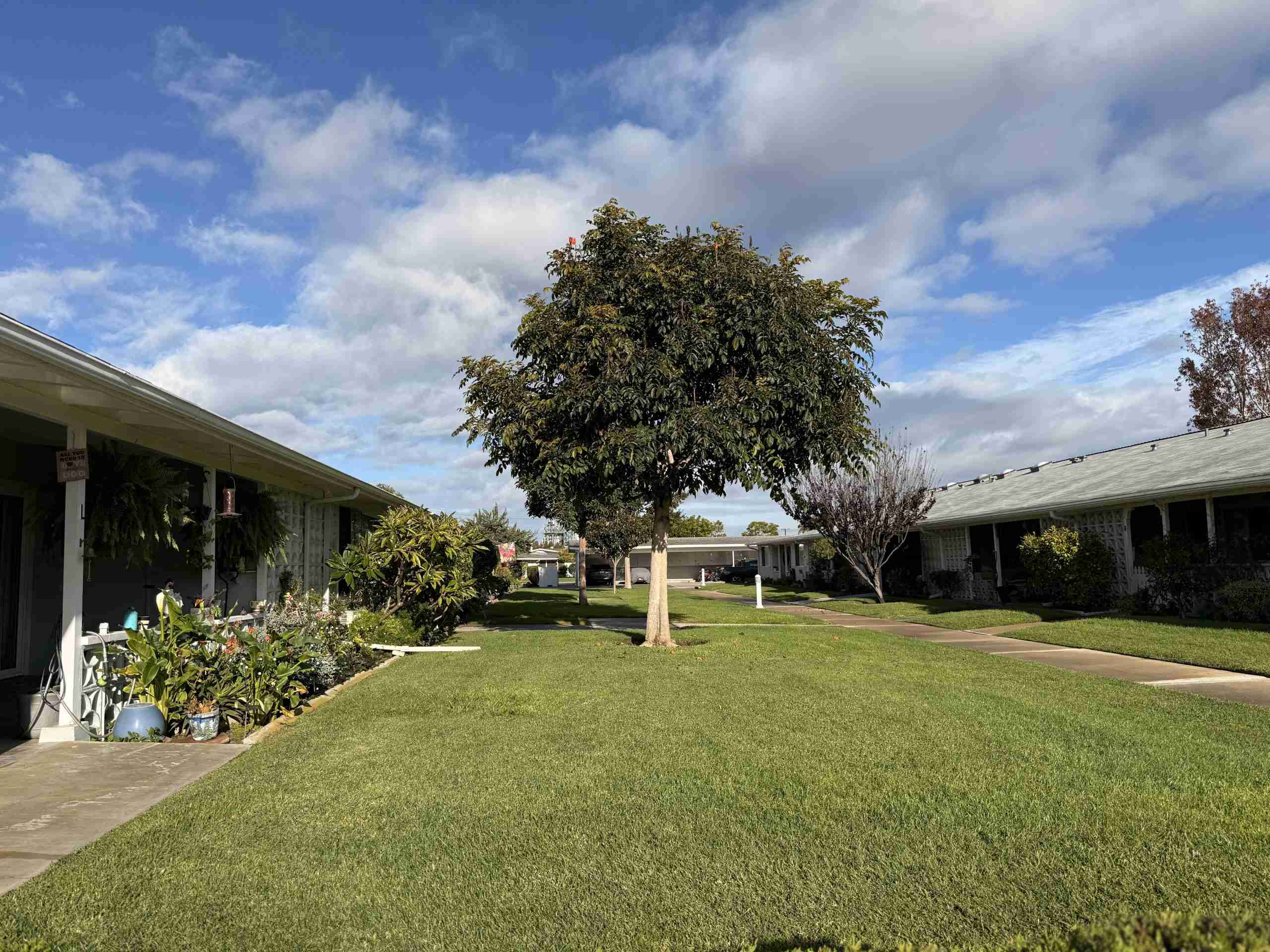 Lush green lawn and residential buildings in Leisure World Seal Beach, showcasing community amenities and outdoor space, ideal for 55+ homeowners considering selling.