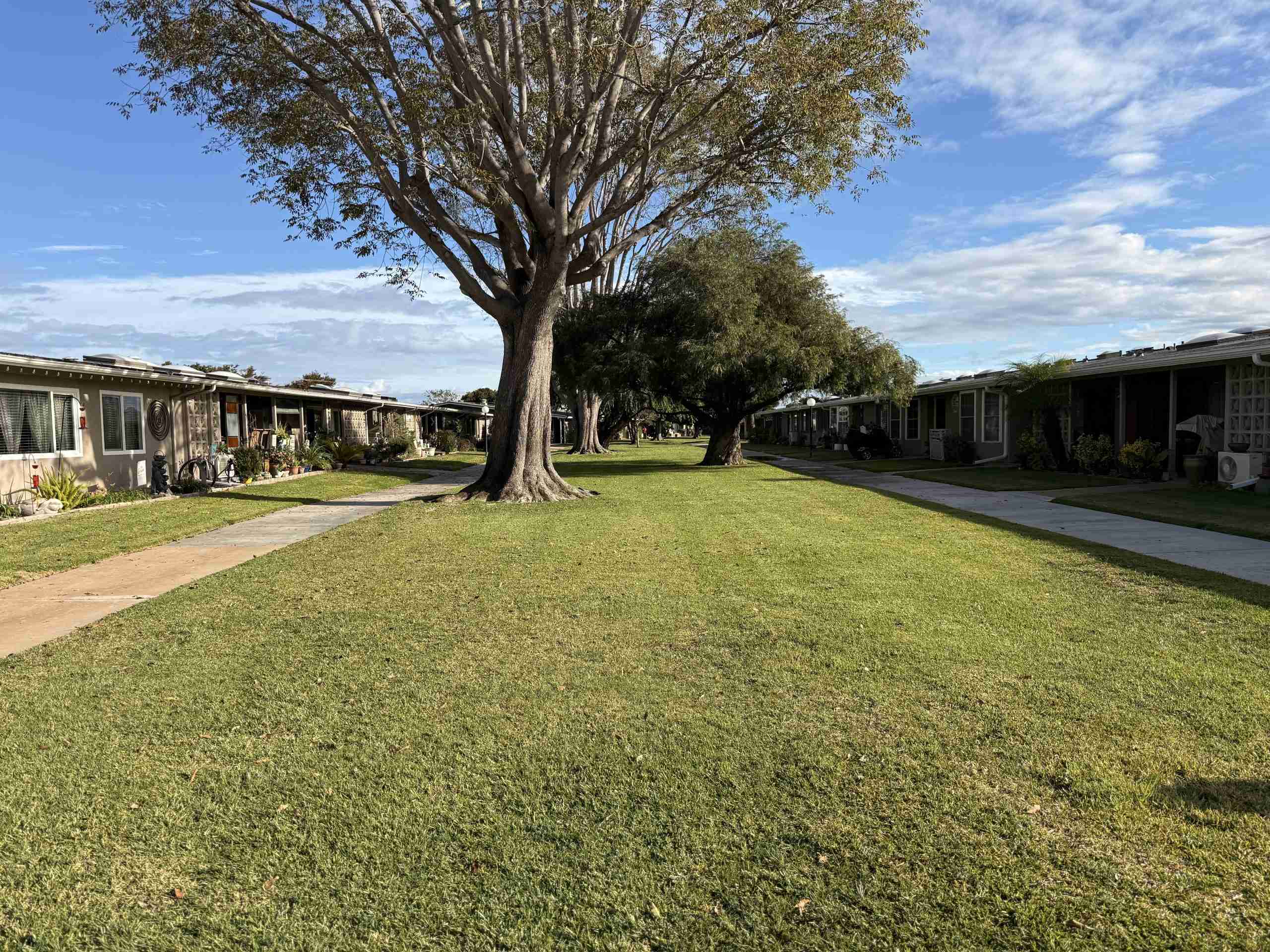 Leisure World Seal Beach cooperative homes and landscaping.