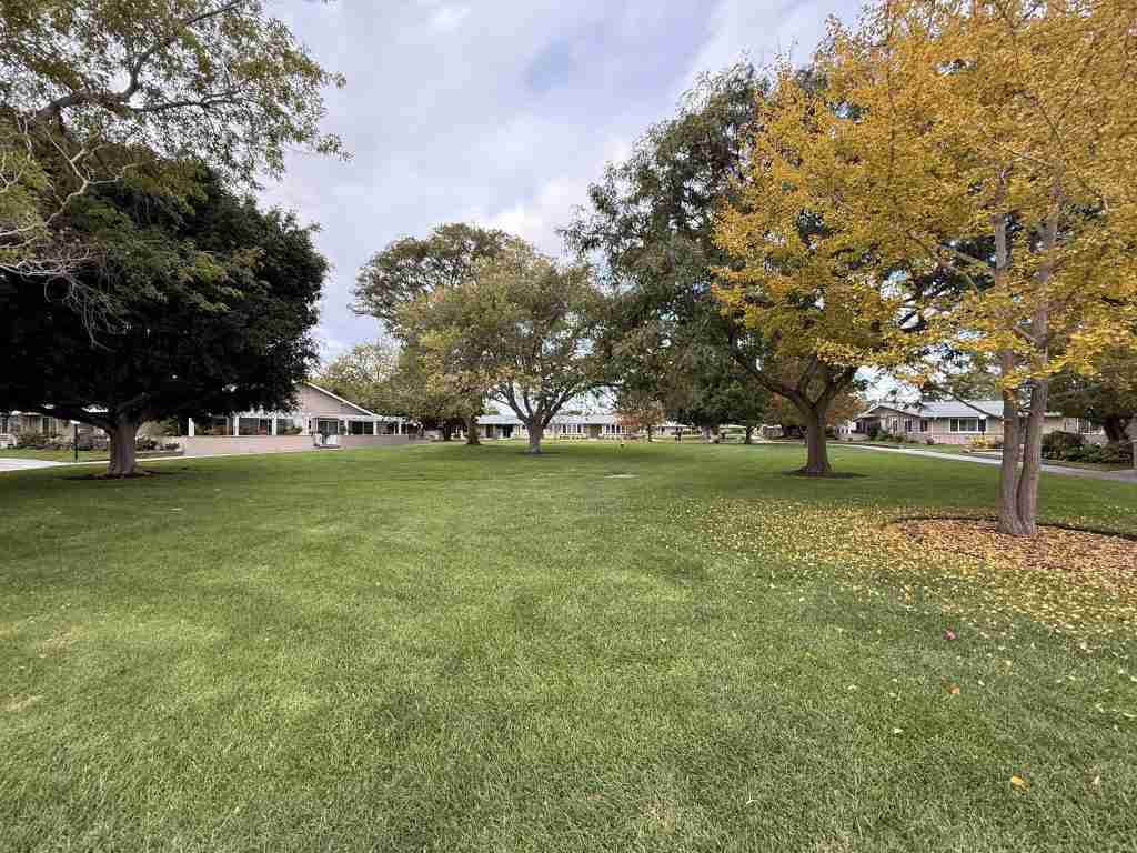 Leisure World Greenbelt Seal Beach