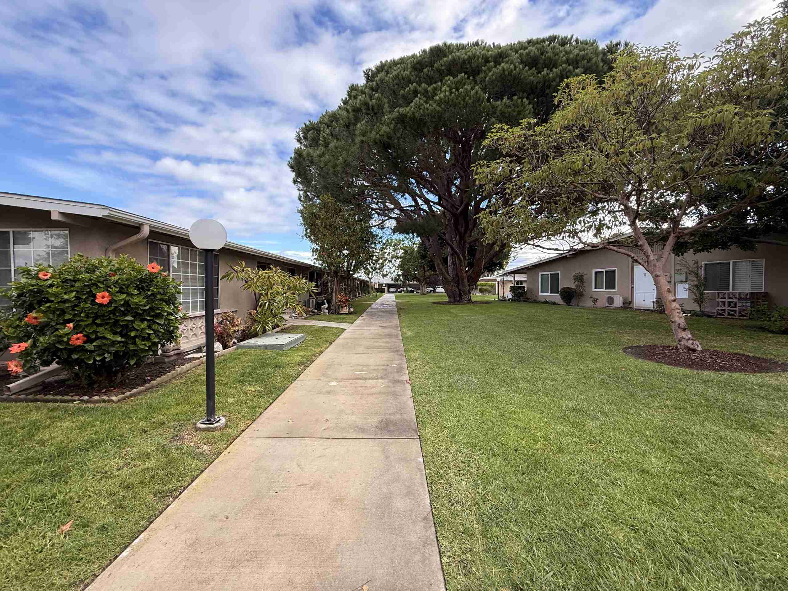 Lush landscaping and walkways in Leisure World Seal Beach mutual community.