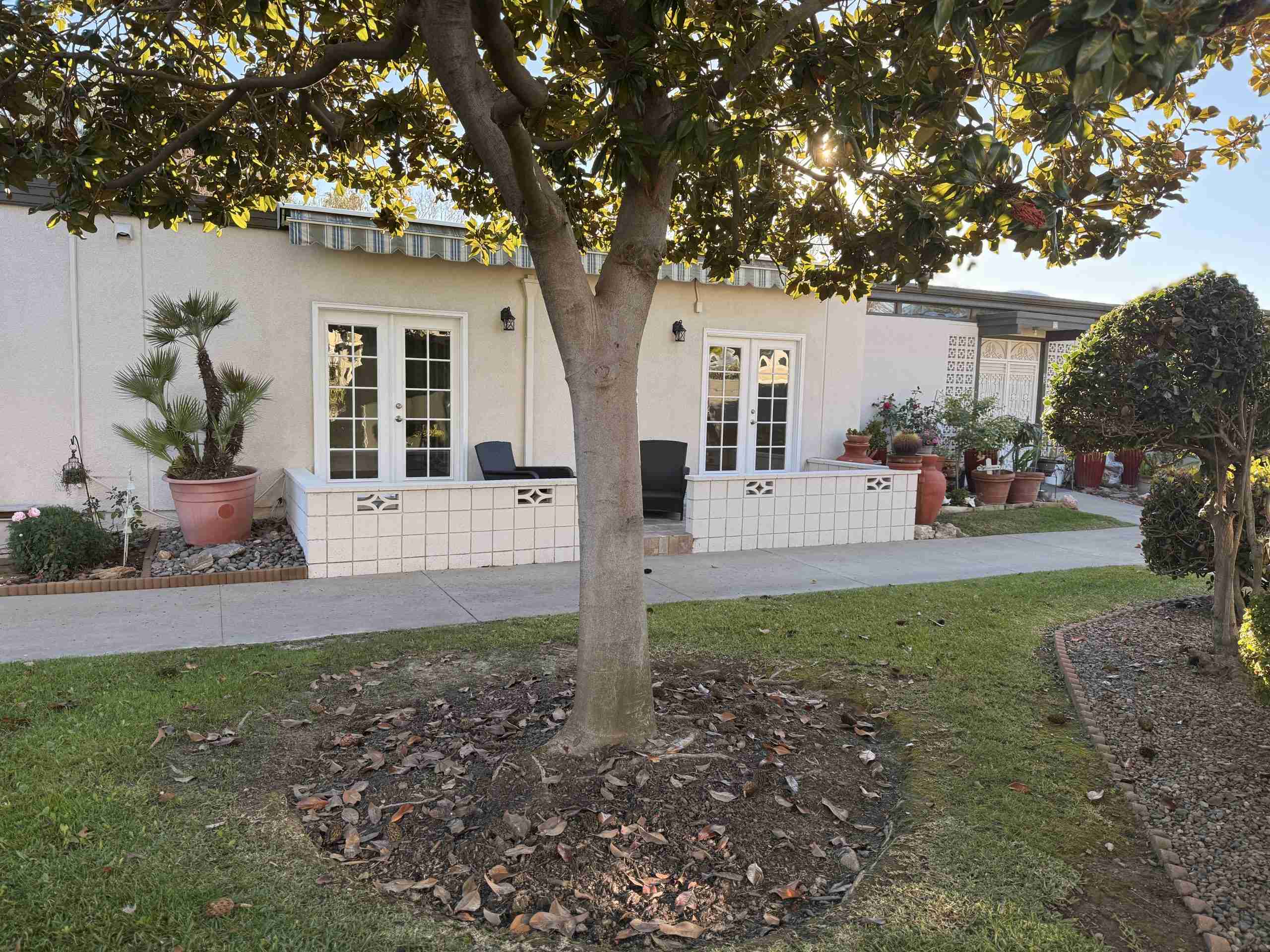 Leisure World Seal Beach property with patio and mature landscaping.