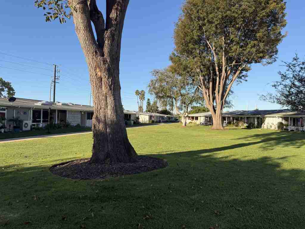 Mutual 9 open space