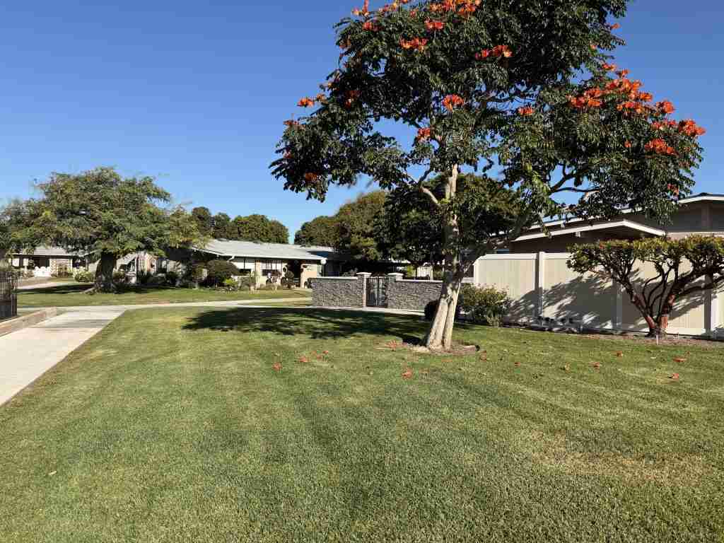Mutual 9 Open Space and trees